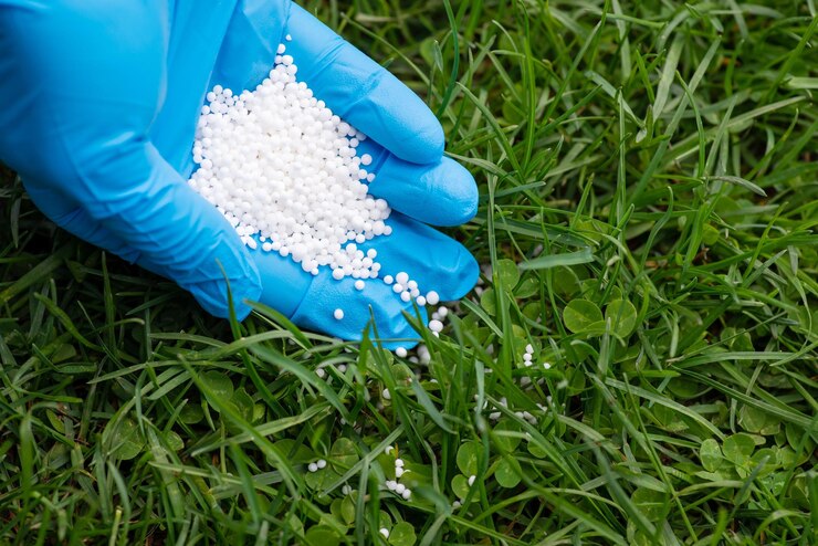 fertilizing-lawn-with-nitrates-concept_123211-5461